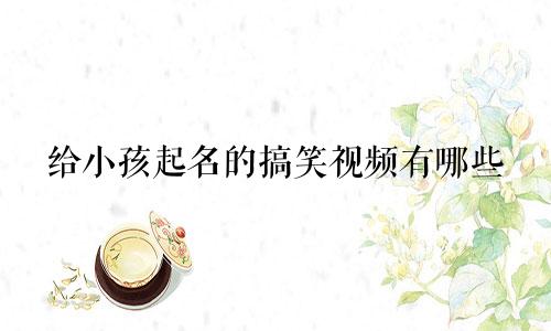 给小孩起名的搞笑视频有哪些