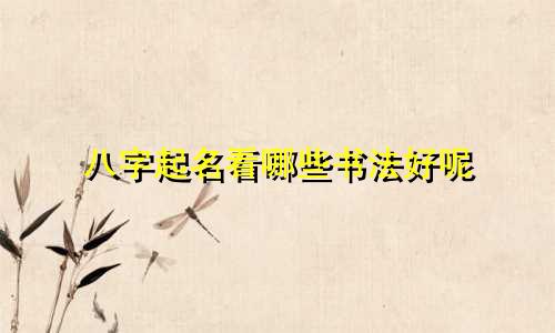 八字起名看哪些书法好呢