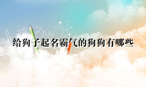 给狗子起名霸气的狗狗有哪些