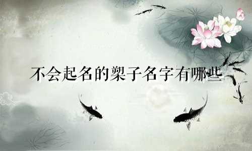 不会起名的槊子名字有哪些