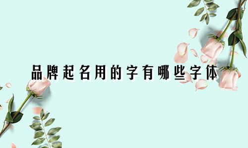 品牌起名用的字有哪些字体