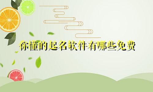 你懂的起名软件有哪些免费