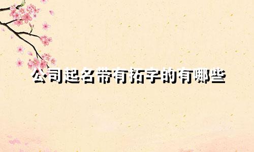 公司起名带有拓字的有哪些