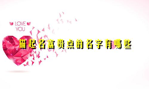 猫起名富贵点的名字有哪些