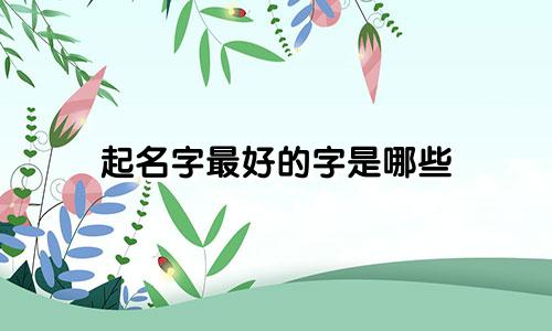 起名字最好的字是哪些