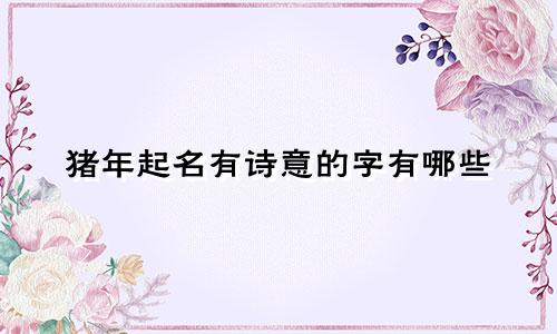 猪年起名有诗意的字有哪些