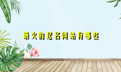 最火的起名网站有哪些