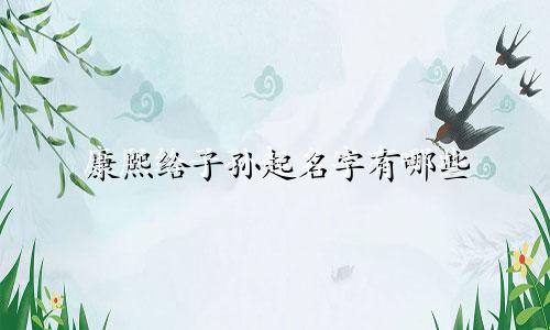 康熙给子孙起名字有哪些