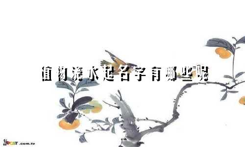 植物浇水起名字有哪些呢