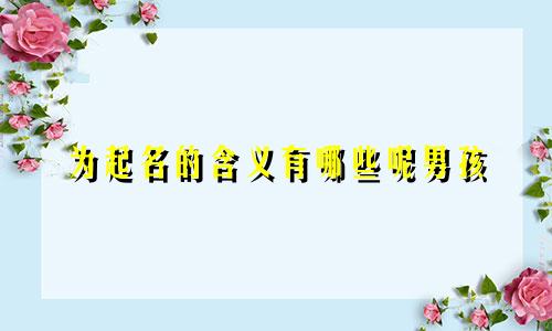 为起名的含义有哪些呢男孩