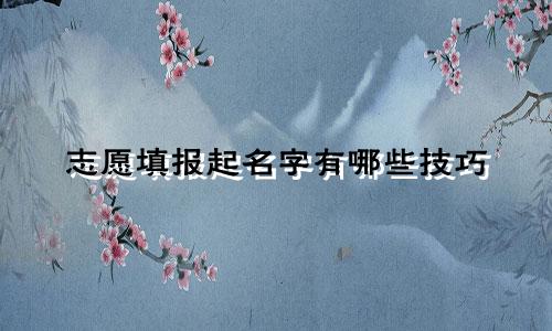 志愿填报起名字有哪些技巧