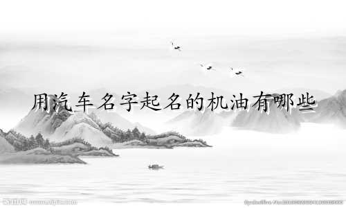 用汽车名字起名的机油有哪些