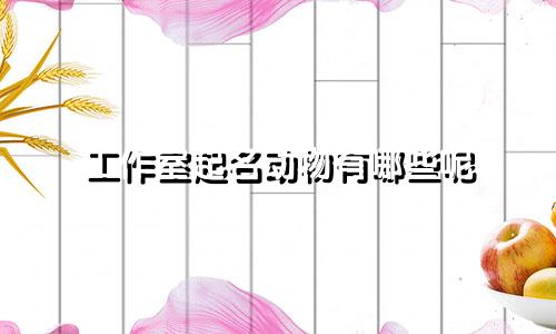 工作室起名动物有哪些呢