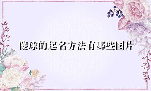 傻球的起名方法有哪些图片