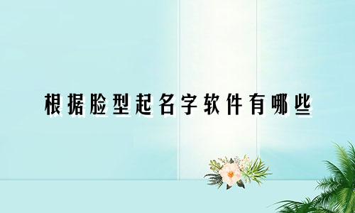 根据脸型起名字软件有哪些