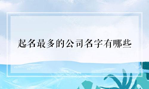 起名最多的公司名字有哪些