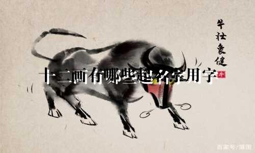 十二画有哪些起名字用字
