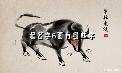 起名字6画有哪些字