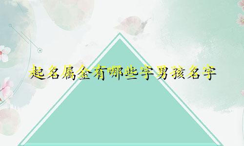 起名属金有哪些字男孩名字
