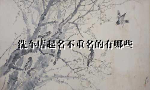 洗车店起名不重名的有哪些