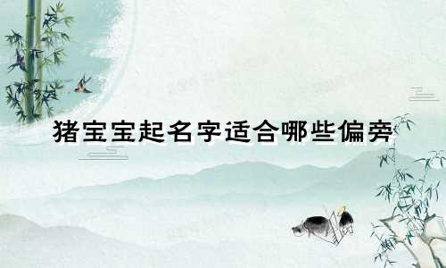 猪宝宝起名字适合哪些偏旁