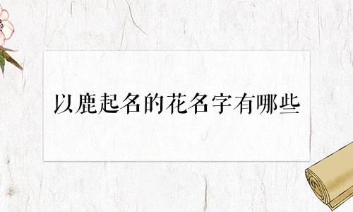以鹿起名的花名字有哪些