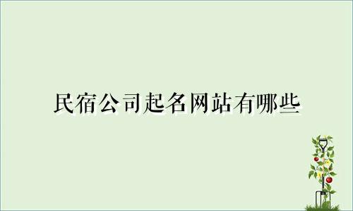 民宿公司起名网站有哪些