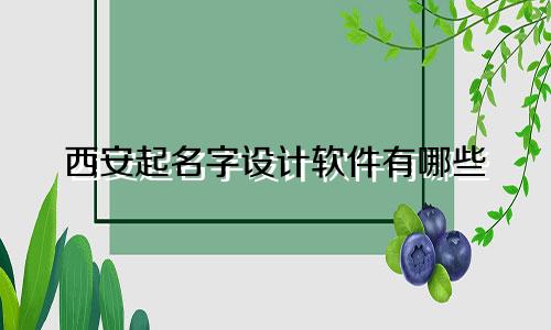 西安起名字设计软件有哪些