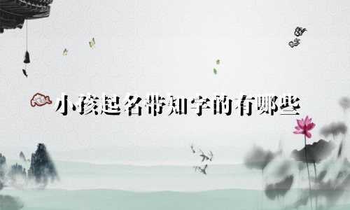 小孩起名带知字的有哪些