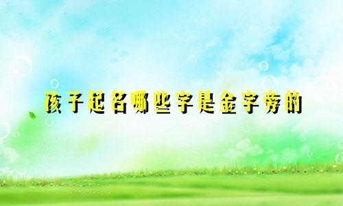 孩子起名哪些字是金字旁的