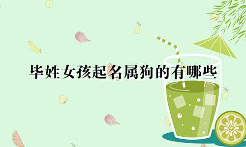 毕姓女孩起名属狗的有哪些