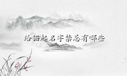 给猫起名字禁忌有哪些