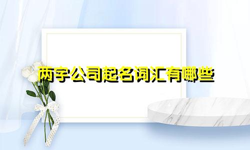 两字公司起名词汇有哪些
