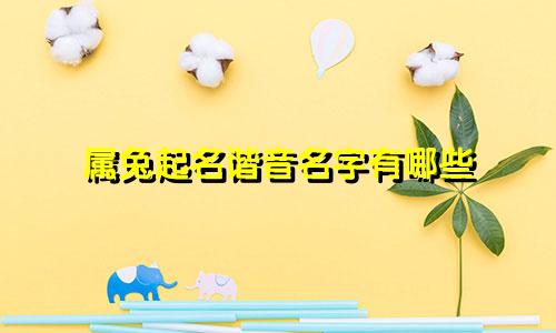 属兔起名谐音名字有哪些