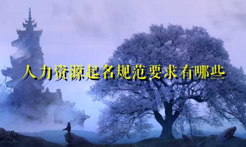 人力资源起名规范要求有哪些