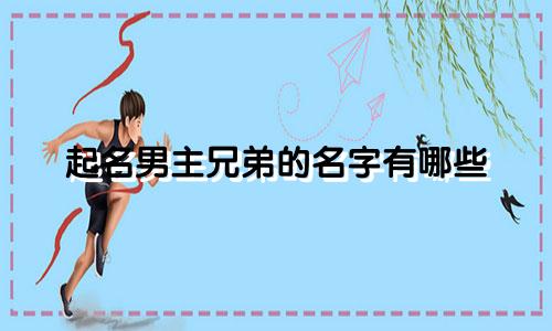 起名男主兄弟的名字有哪些