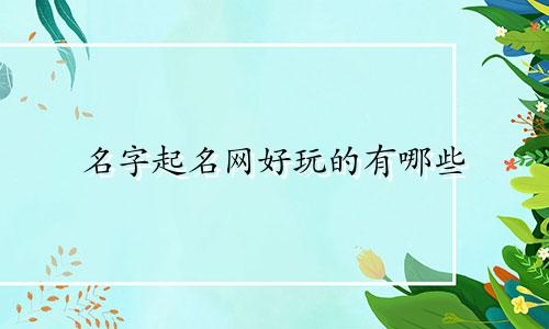 名字起名网好玩的有哪些