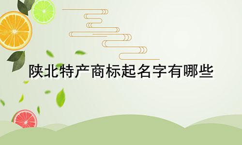 陕北特产商标起名字有哪些