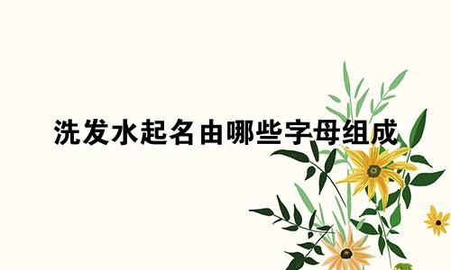 洗发水起名由哪些字母组成