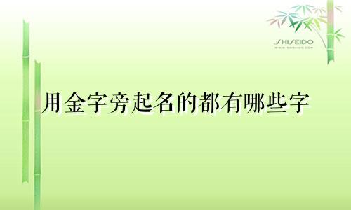 用金字旁起名的都有哪些字