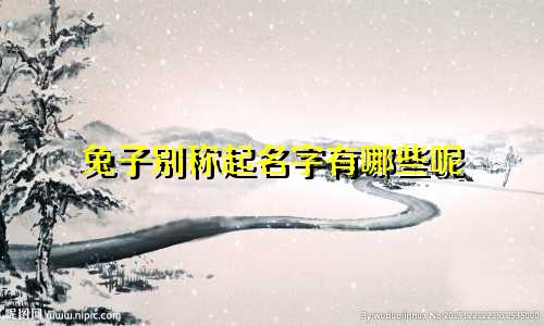兔子别称起名字有哪些呢