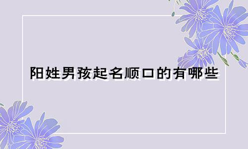 阳姓男孩起名顺口的有哪些