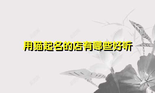 用猫起名的店有哪些好听