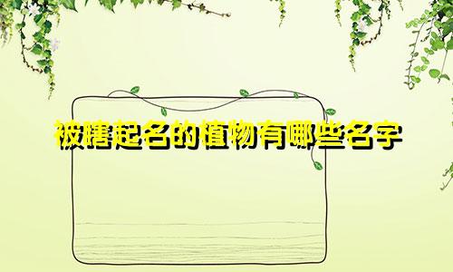 被瞎起名的植物有哪些名字