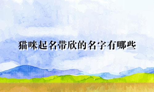 猫咪起名带欣的名字有哪些
