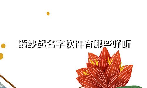 婚纱起名字软件有哪些好听