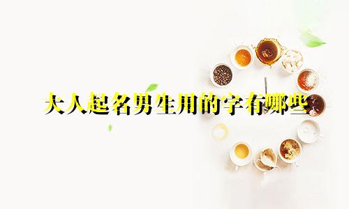 大人起名男生用的字有哪些