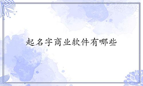 起名字商业软件有哪些