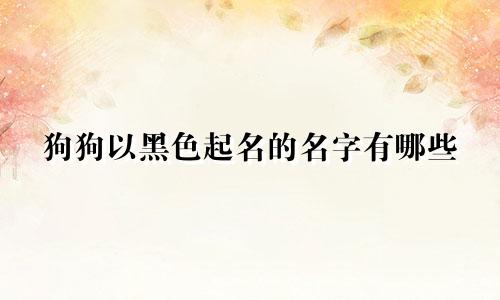 狗狗以黑色起名的名字有哪些