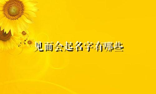 见面会起名字有哪些